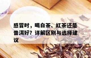 感冒时，喝白茶、红茶还是普洱好？详解区别与选择建议