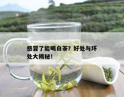 感冒了能喝白茶？好处与坏处大揭秘！