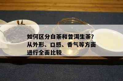 如何区分白茶和普洱生茶？从外形、口感、香气等方面进行全面比较