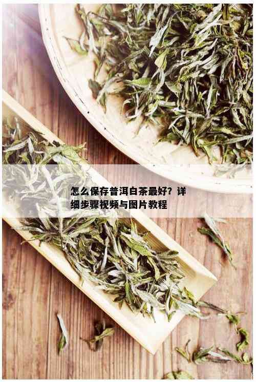 怎么保存普洱白茶更好？详细步骤视频与图片教程