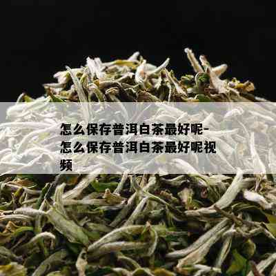 怎么保存普洱白茶更好呢-怎么保存普洱白茶更好呢视频