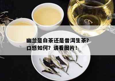 幽兰是白茶还是普洱生茶？口感如何？请看图片！