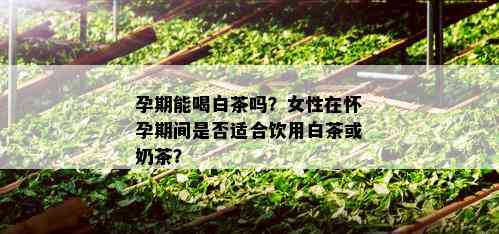 孕期能喝白茶吗？女性在怀孕期间是否适合饮用白茶或奶茶？