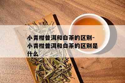 小青柑普洱和白茶的区别-小青柑普洱和白茶的区别是什么