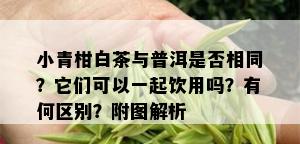 小青柑白茶与普洱是否相同？它们可以一起饮用吗？有何区别？附图解析