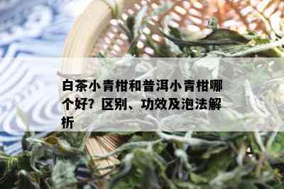 白茶小青柑和普洱小青柑哪个好？区别、功效及泡法解析