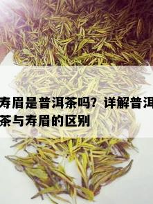 寿眉是普洱茶吗？详解普洱茶与寿眉的区别