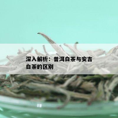 深入解析：普洱白茶与安吉白茶的区别