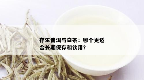 存生普洱与白茶：哪个更适合长期保存和饮用？