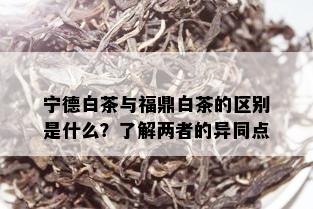 宁德白茶与福鼎白茶的区别是什么？了解两者的异同点