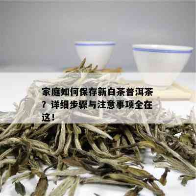 家庭如何保存新白茶普洱茶？详细步骤与注意事项全在这！