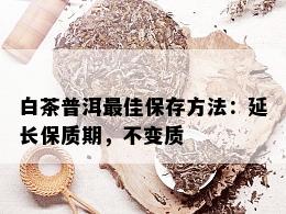 白茶普洱更佳保存方法：延长保质期，不变质