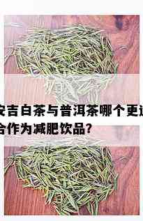 安吉白茶与普洱茶哪个更适合作为减肥饮品？