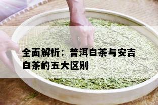 全面解析：普洱白茶与安吉白茶的五大区别