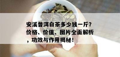 安溪普洱白茶多少钱一斤？价格、价值、图片全面解析，功效与作用揭秘！