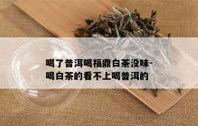 喝了普洱喝福鼎白茶没味-喝白茶的看不上喝普洱的