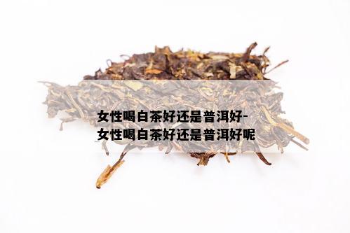 女性喝白茶好还是普洱好-女性喝白茶好还是普洱好呢