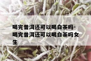 喝完普洱还可以喝白茶吗-喝完普洱还可以喝白茶吗女生