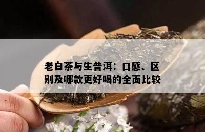 老白茶与生普洱：口感、区别及哪款更好喝的全面比较