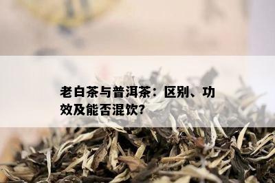 老白茶与普洱茶：区别、功效及能否混饮?