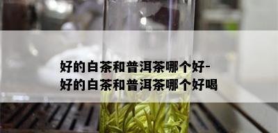 好的白茶和普洱茶哪个好-好的白茶和普洱茶哪个好喝