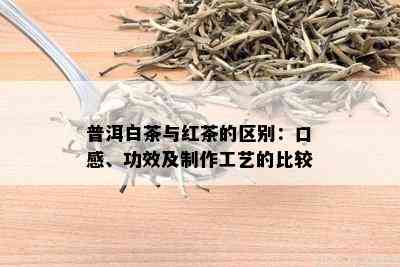 普洱白茶与红茶的区别：口感、功效及制作工艺的比较