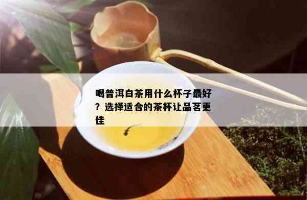 喝普洱白茶用什么杯子更好？选择适合的茶杯让品茗更佳