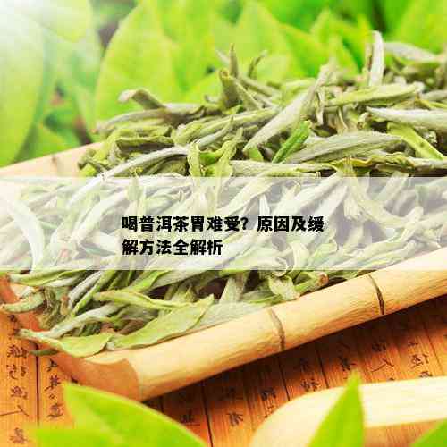 喝普洱茶胃难受？原因及缓解方法全解析