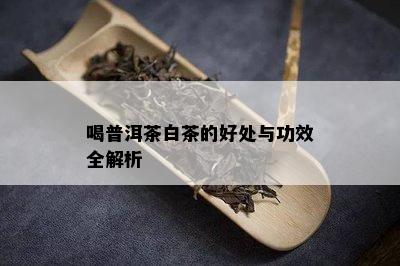 喝普洱茶白茶的好处与功效全解析