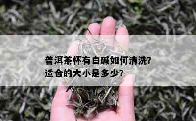 普洱茶杯有白碱如何清洗？适合的大小是多少？