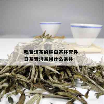 喝普洱茶的纯白茶杯套件-白茶普洱茶用什么茶杯