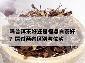 喝普洱茶好还是福鼎白茶好？探讨两者区别与优劣