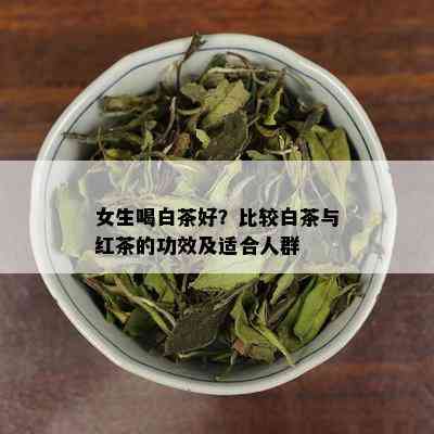 女生喝白茶好？比较白茶与红茶的功效及适合人群