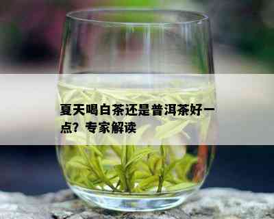 夏天喝白茶还是普洱茶好一点？专家解读