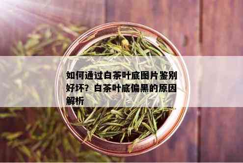 如何通过白茶叶底图片鉴别好坏？白茶叶底偏黑的原因解析