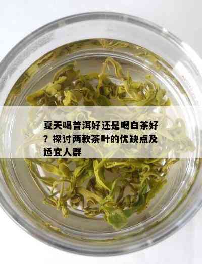 夏天喝普洱好还是喝白茶好？探讨两款茶叶的优缺点及适宜人群