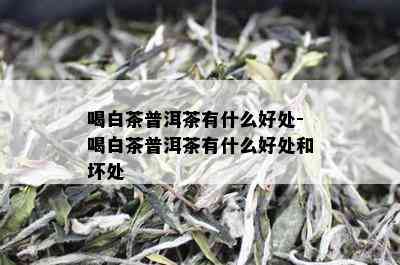 喝白茶普洱茶有什么好处-喝白茶普洱茶有什么好处和坏处