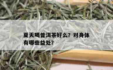 夏天喝普洱茶好么？对身体有哪些益处？