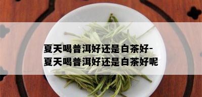 夏天喝普洱好还是白茶好-夏天喝普洱好还是白茶好呢