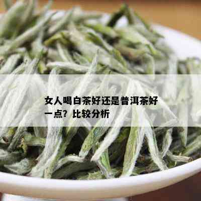 女人喝白茶好还是普洱茶好一点？比较分析