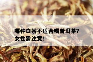 哪种白茶不适合喝普洱茶？女性需注意！