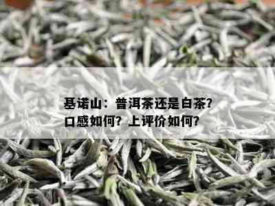 基诺山：普洱茶还是白茶？口感如何？上评价如何？