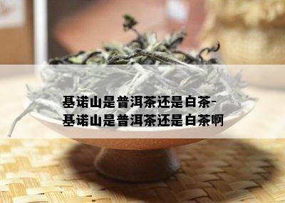 基诺山是普洱茶还是白茶-基诺山是普洱茶还是白茶啊