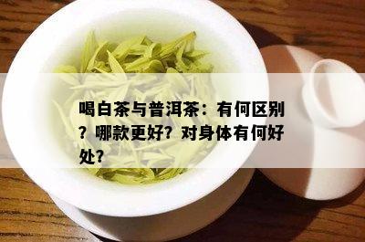 喝白茶与普洱茶：有何区别？哪款更好？对身体有何好处？