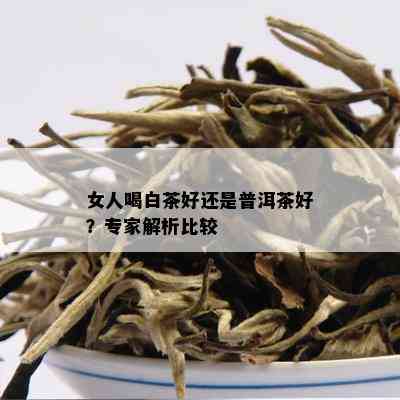 女人喝白茶好还是普洱茶好？专家解析比较