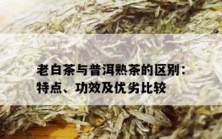 老白茶与普洱熟茶的区别：特点、功效及优劣比较