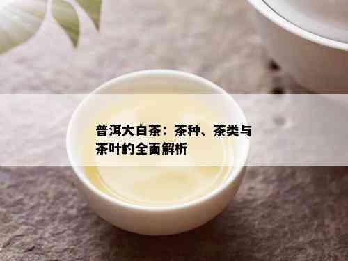 普洱大白茶：茶种、茶类与茶叶的全面解析