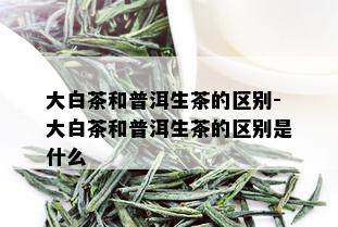 大白茶和普洱生茶的区别-大白茶和普洱生茶的区别是什么