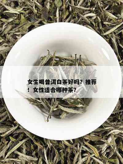 女生喝普洱白茶好吗？推荐！女性适合哪种茶？