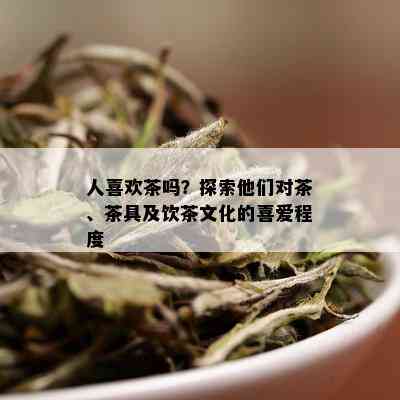 人喜欢茶吗？探索他们对茶、茶具及饮茶文化的喜爱程度